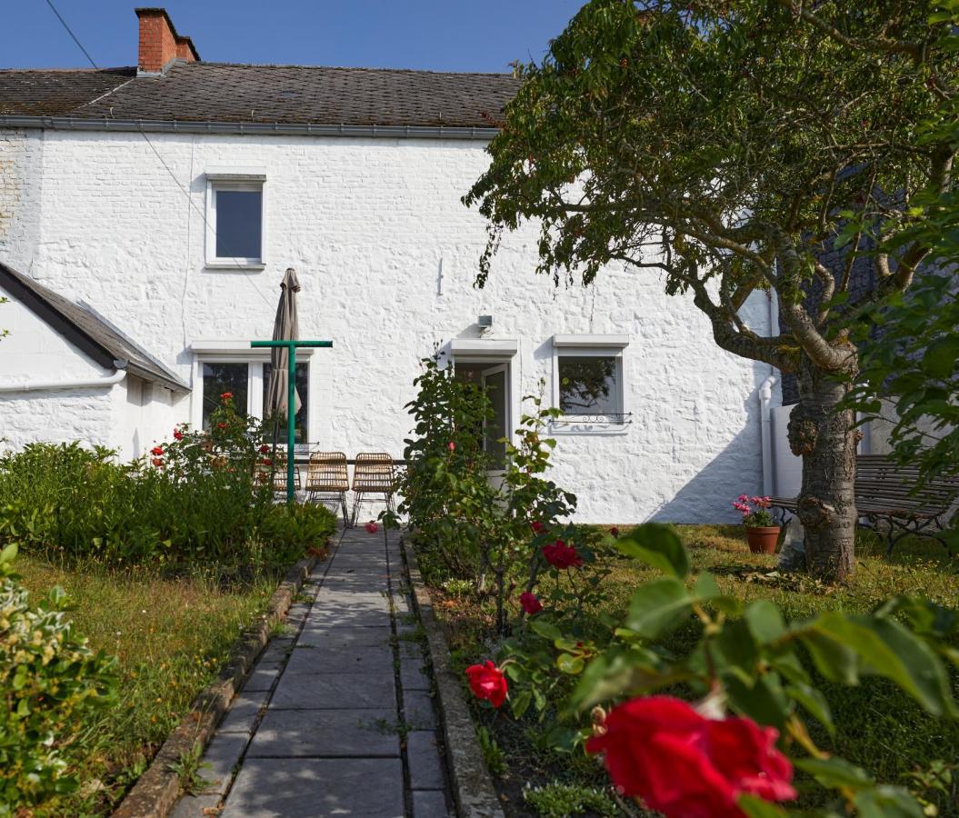 Le Renard Qui Fume Villa Onhaye Exterior photo